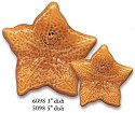 Starfish