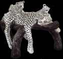 Leopards