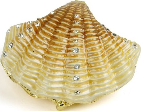 Shells