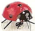 Kubla 5626 Ladybug Set Of 12 Pic U $23.99