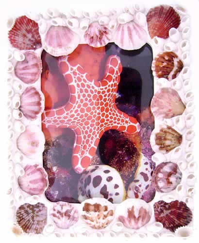 Kubla 7024B Seashell $10.99