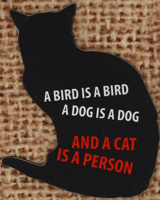 Our Name is Mud 4039110 A Cat Is A Person Magnet Magnet  $0.00