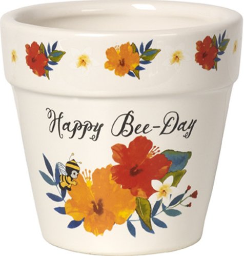Precious Moments 171495 Happy Bee Day Flower Pot $12.99